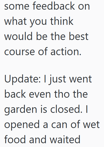 some feedback on what you think would be the best course of action. Update: I just went back even tho the garden is closed. I opened a can of wet food and waited