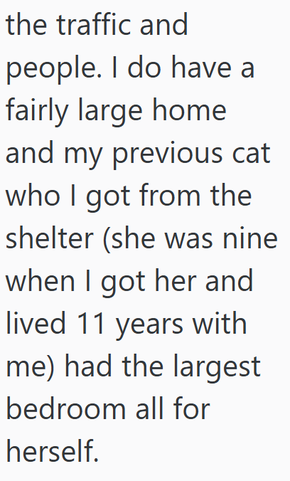 the traffic and people. I do have a fairly large home and my previous cat who I got from the shelter (she was nine when I got her and lived 11 years with me) had the largest bedroom all for herself.