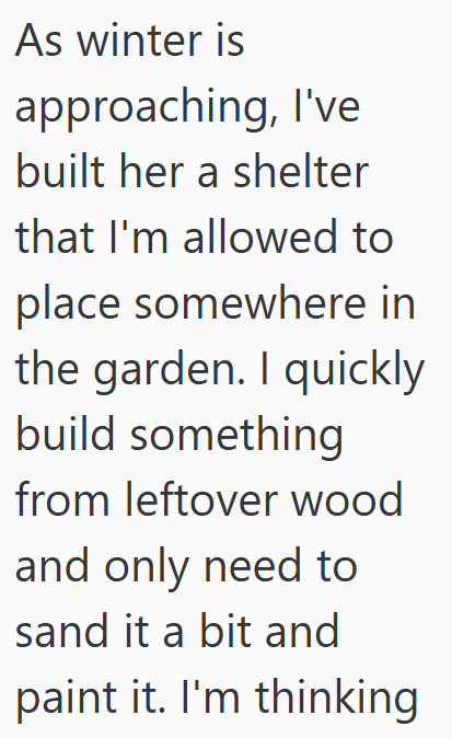 As winter is approaching, I've built her a shelter that I'm allowed to place somewhere in the garden. I quickly build something from leftover wood and only need to sand it a bit and paint it. I'm thinking