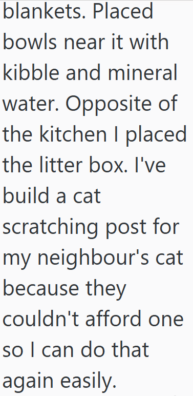 blankets. Placed bowls near it with kibble and mineral water. Opposite of the kitchen I placed the litter box. I've build a cat scratching post for my neighbour's cat because they couldn't afford one so I can do that again easily.