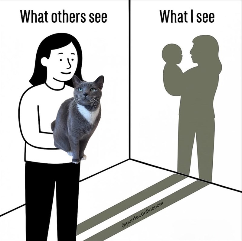 What others see What I see @purrfectinfluencer