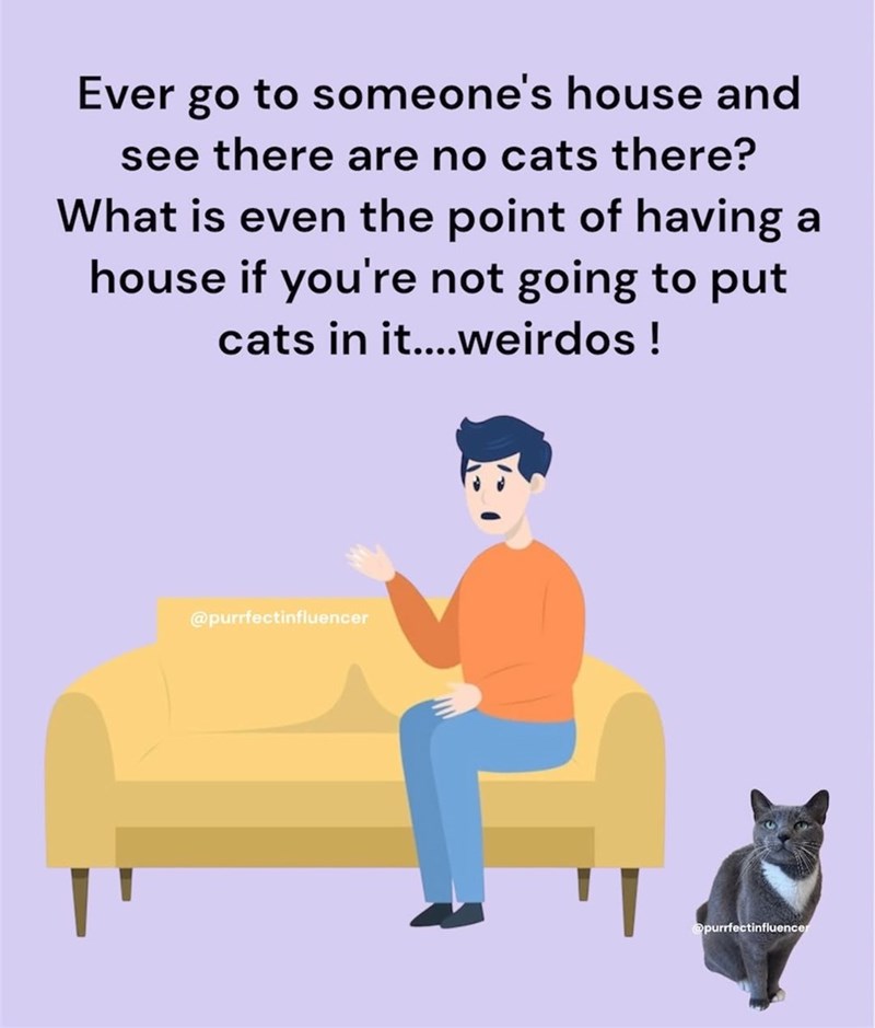 Ever go to someone's house and see there are no cats there? What is even the point of having a house if you're not going to put cats in it....weirdos! @purrfectinfluencer @purrfectinfluencer