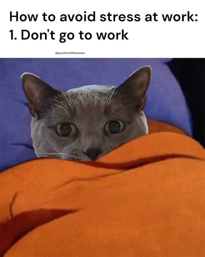 How to avoid stress at work: 1. Don't go to work @purrfectinfluencer