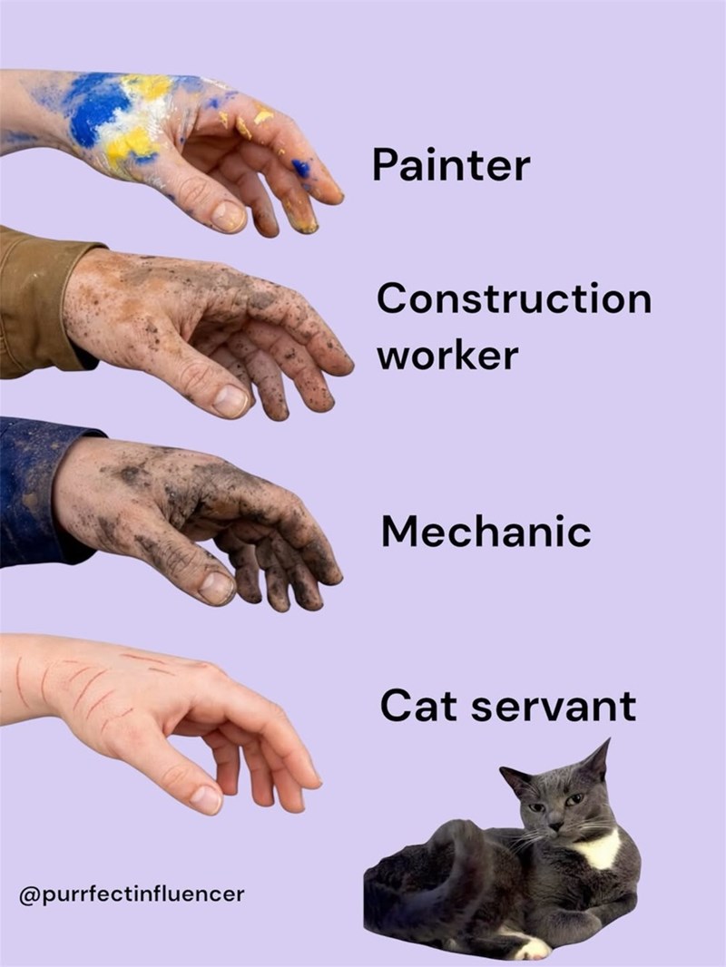 @purrfectinfluencer Painter Construction worker Mechanic Cat servant