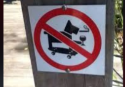 Cheezburger Image 10612544768