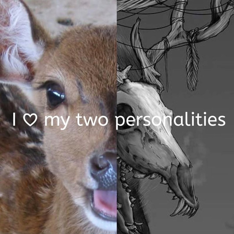 I♡ my two personalities