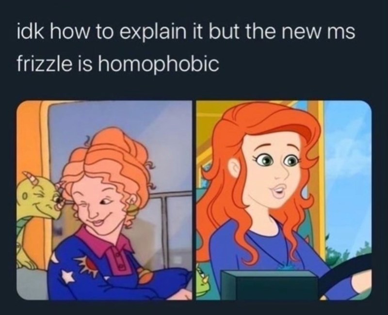 idk how to explain it but the new ms frizzle is homophobic