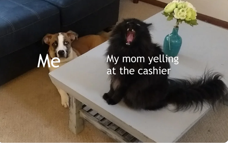 Me My mom yelling at the cashier