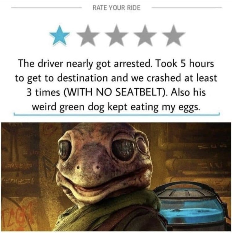 RATE YOUR RIDE The driver nearly got arrested. Took 5 hours to get to destination and we crashed at least 3 times (WITH NO SEATBELT). Also his weird green dog kept eating my eggs.