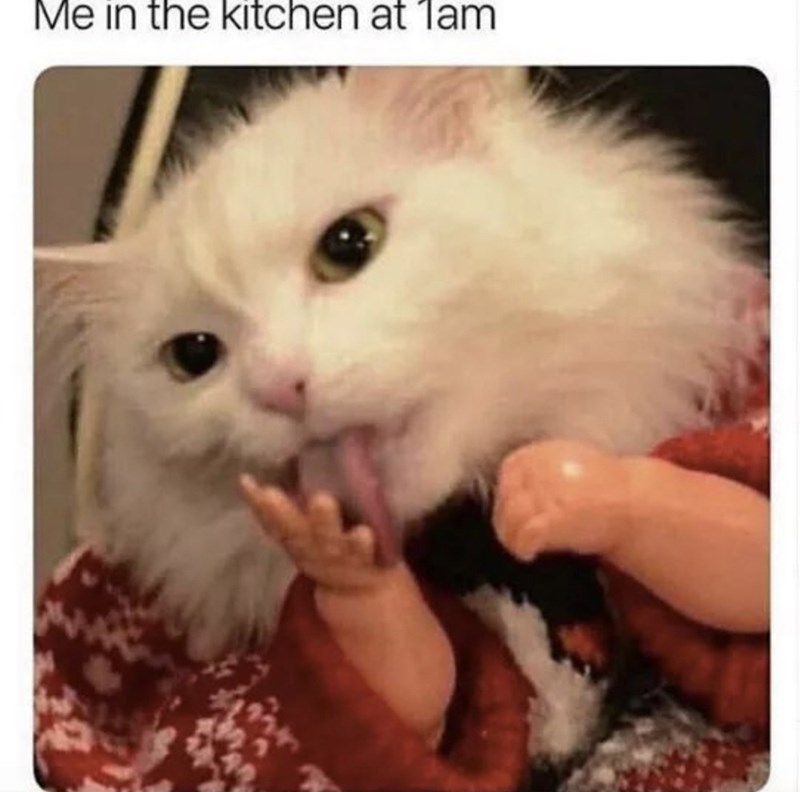 Me in the kitchen at 1am