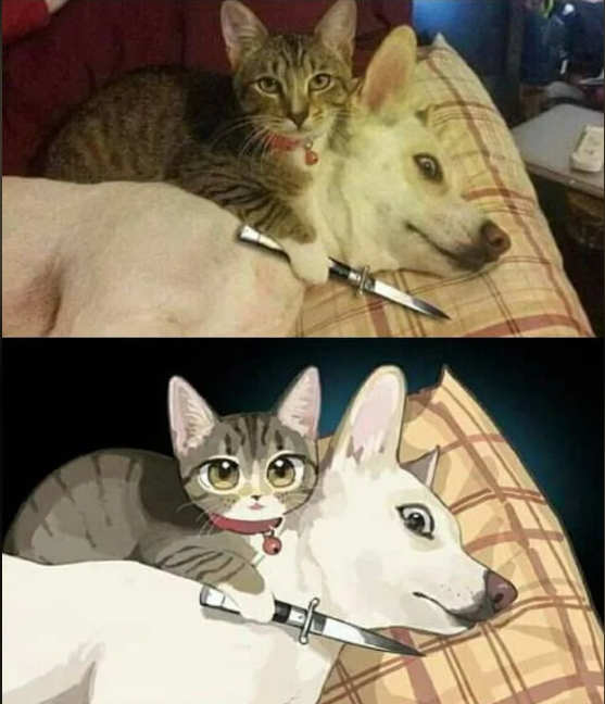 Cheezburger Image 10612572416