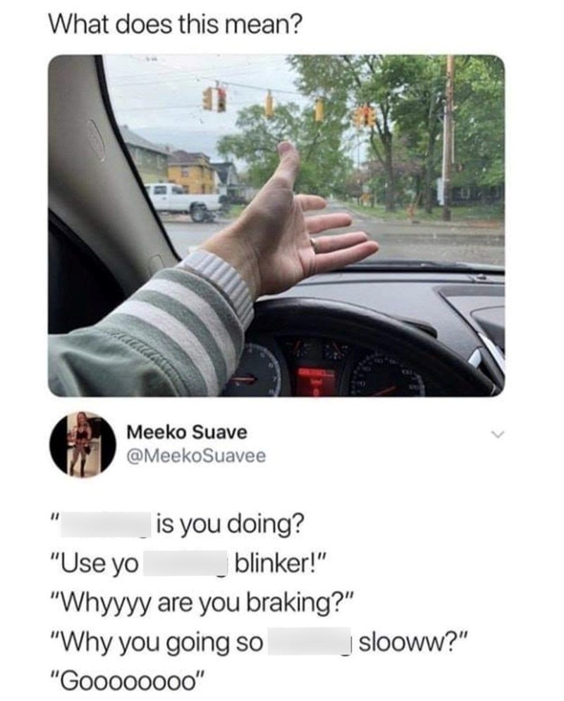 What does this mean? Meeko Suave @MeekoSuavee "Use yo is you doing? blinker!" "Whyyyy are you braking?" "Why you going so "Goooooooo" slooww?"