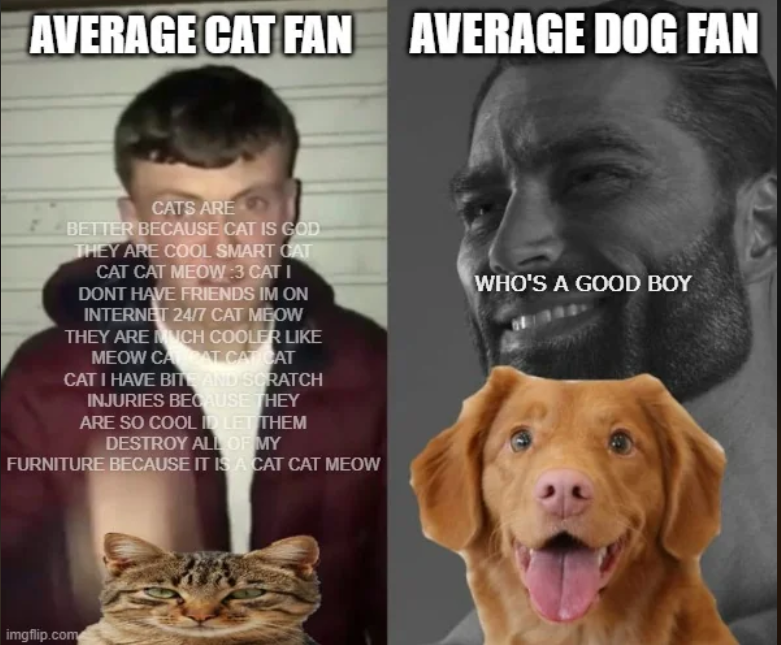 AVERAGE CAT FAN AVERAGE DOG FAN CATS ARE BETTER BECAUSE CAT IS GOD THEY ARE COOL SMART CAT CAT CAT MEOW :3 CAT I DONT HAVE FRIENDS IM ON INTERNET 24/7 CAT MEOW THEY ARE MUCH COOLER LIKE MEOW CARCAT CARICAT CAT I HAVE BITE AND SCRATCH INJURIES BECAUSE THEY ARE SO COOL ID LET THEM DESTROY ALL OF MY FURNITURE BECAUSE IT IS A CAT CAT MEOW WHO'S A GOOD BOY imgflip.com