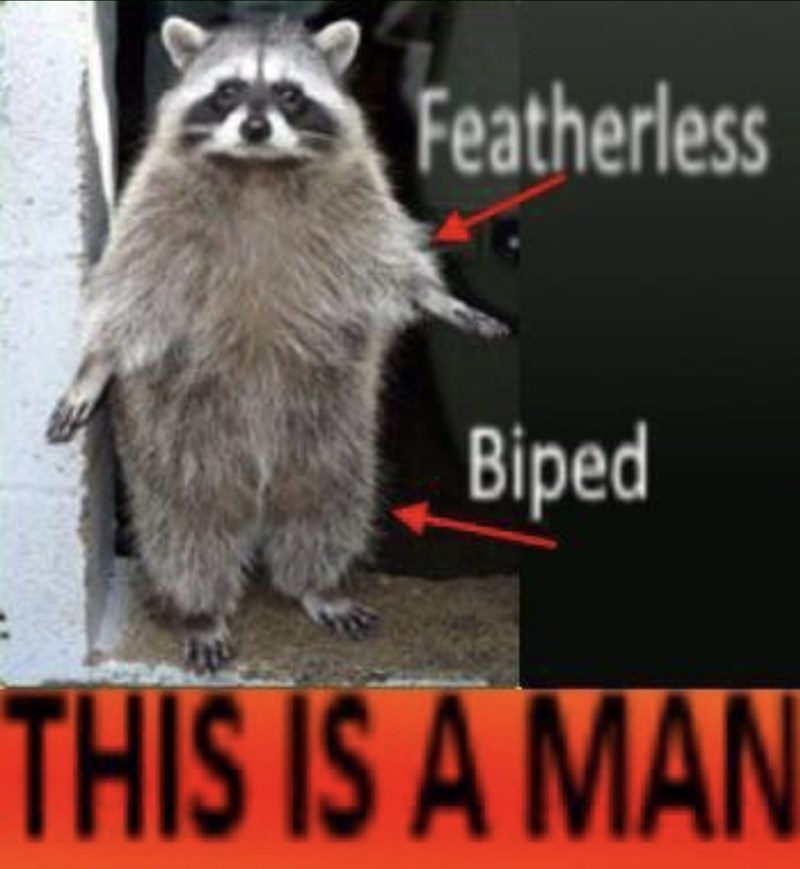 Featherless Biped THIS IS A MAN