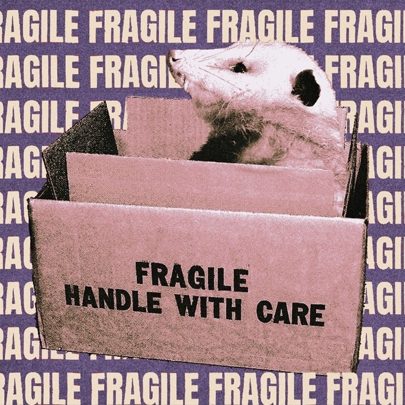 AGILE FRAGILE FRAGILE FRAGI RAGILE FRAGI FRAGI RAGILF R RAGI AG BAG IGI IGI A IGI FRAGILE RAG HANDLE WITH CARE AGI RAG. AGI RAGILE FRAGILE FRAGILE FRAGI