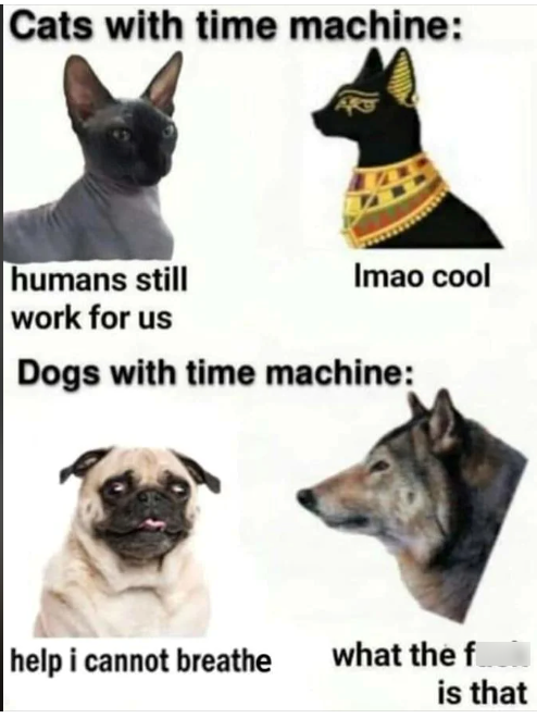 Cats with time machine: humans still work for us Imao cool Dogs with time machine: help i cannot breathe what the f is that