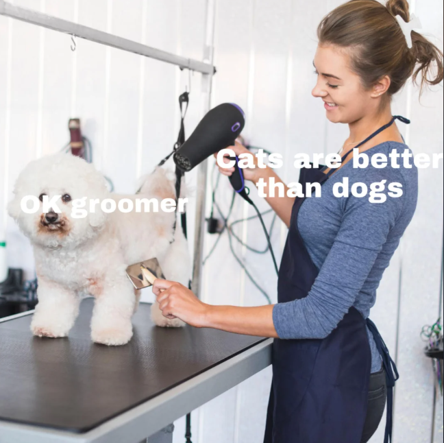 OK groomer Cats are better than dogs