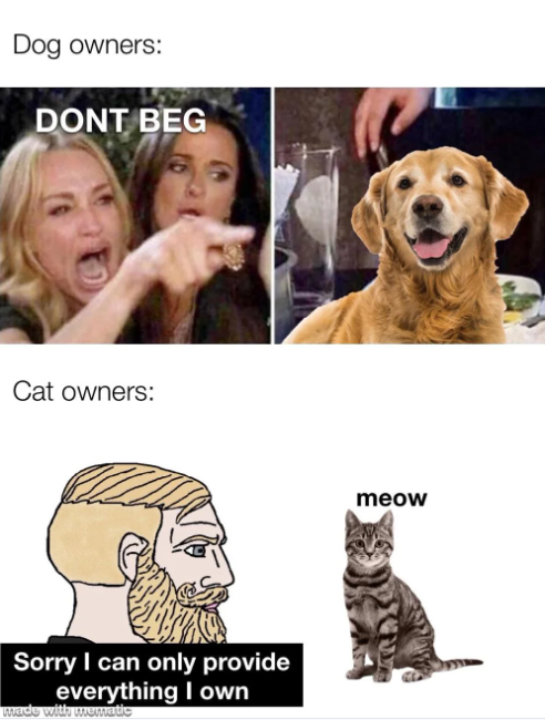 Dog owners: DONT BEG Cat owners: Sorry I can only provide everything I own made with mematic meow