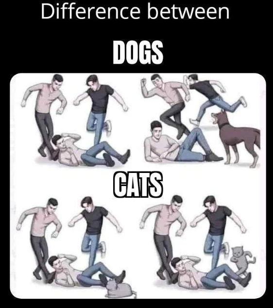Difference between DOGS CATS