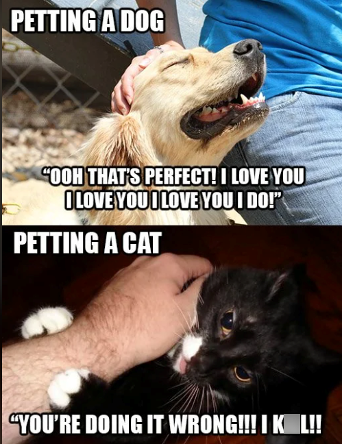 PETTING A DOG "OOH THAT'S PERFECT! I LOVE YOU I LOVE YOU I LOVE YOU I DO!" PETTING A CAT "YOU'RE DOING IT WRONG!!! I K L!!