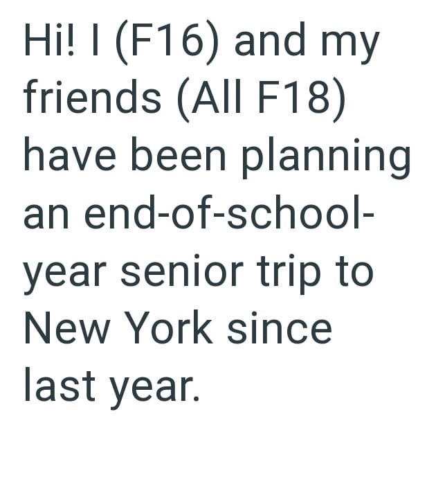 Hi! I (F16) and my friends (All F18) have been planning an end-of-school- year senior trip to New York since last year.