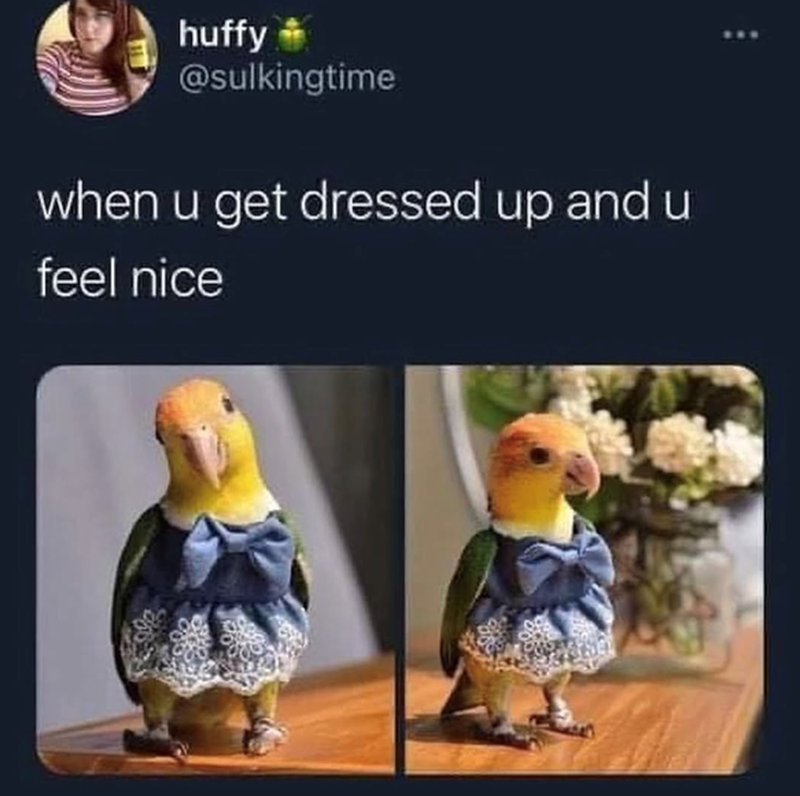 huffy @sulkingtime when u get dressed up and u feel nice