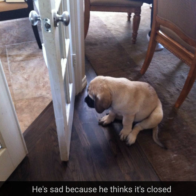 He's sad because he thinks it's closed