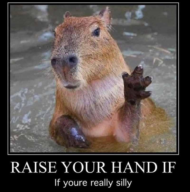 RAISE YOUR HAND IF If youre really silly