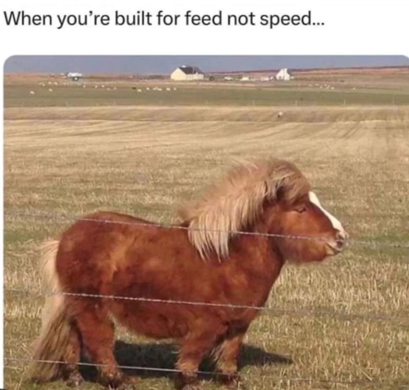 When you're built for feed not speed...