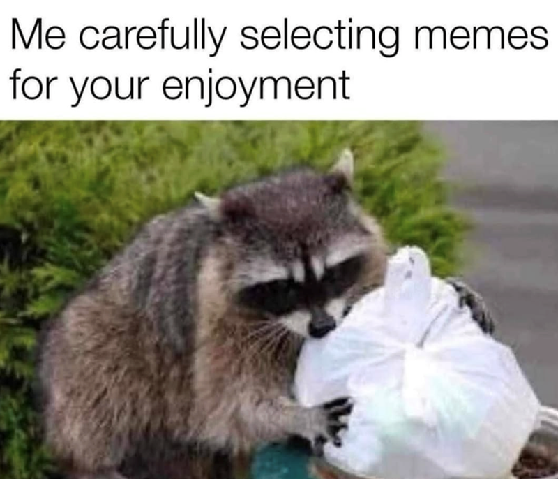Me carefully selecting memes. for your enjoyment