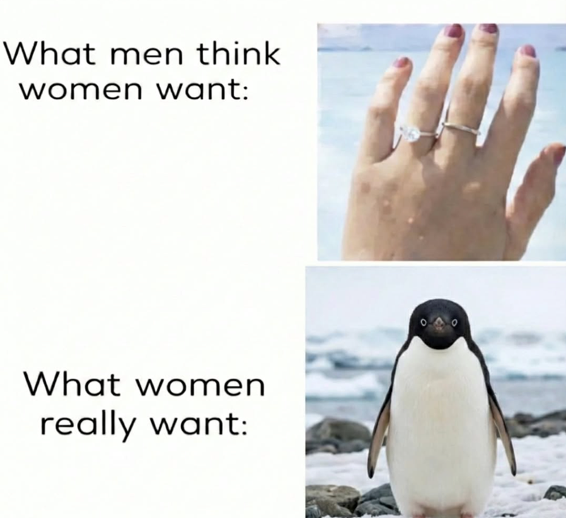 What men think women want: What women really want: