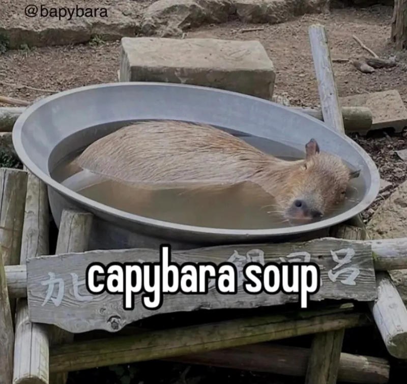 @bapybara 加 capybara soup