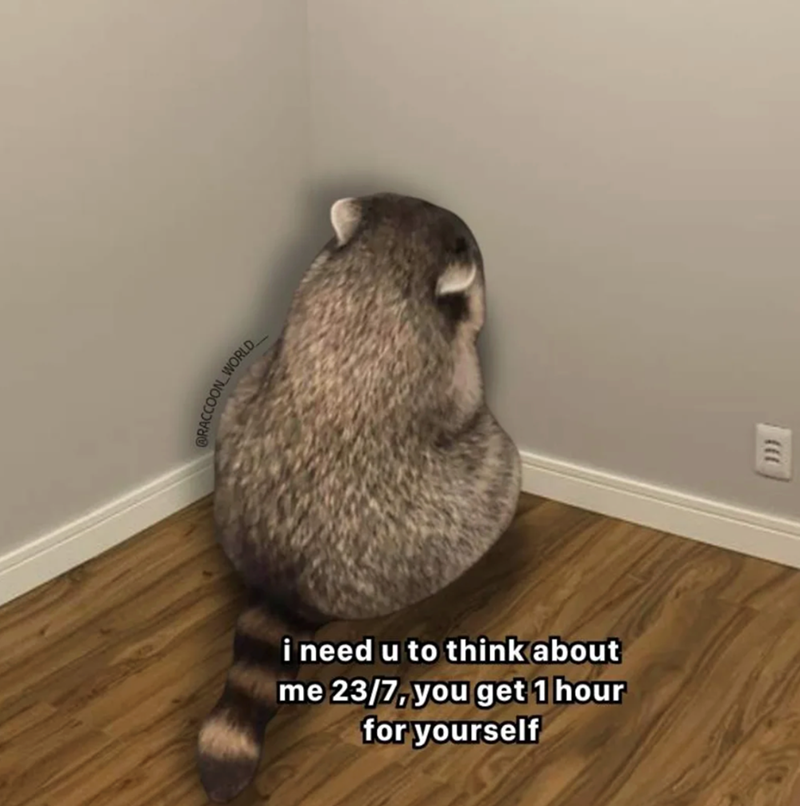 @RACCOON WORLD i need u to think about me 23/7, you get 1 hour for yourself