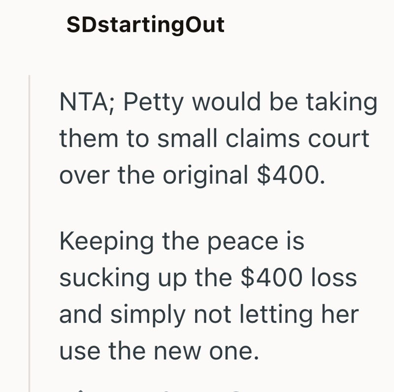 SDstartingOut NTA; Petty would be taking them to small claims court over the original $400. Keeping the peace is sucking up the $400 loss and simply not letting her use the new one.