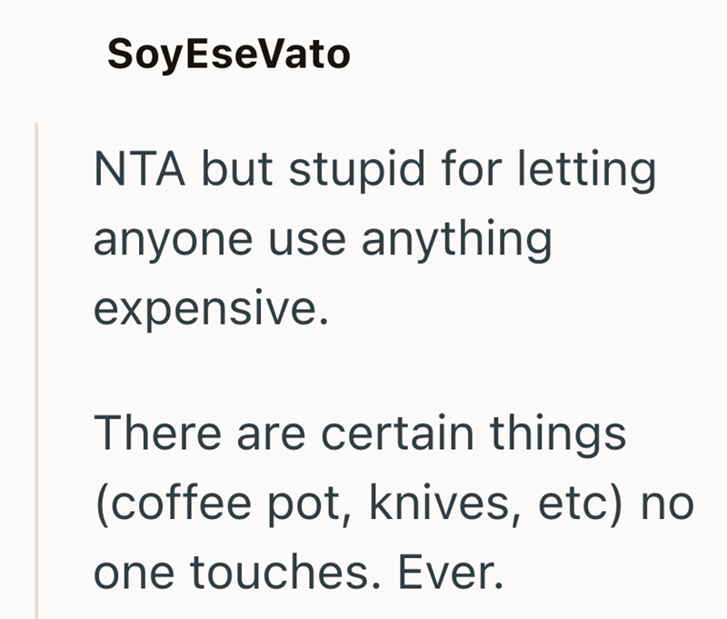 SoyEseVato NTA but stupid for letting anyone use anything expensive. There are certain things (coffee pot, knives, etc) no one touches. Ever.