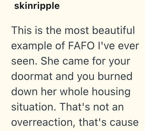 skinripple This is the most beautiful example of FAFO I've ever seen. She came for your doormat and you burned down her whole housing situation. That's not an overreaction, that's cause