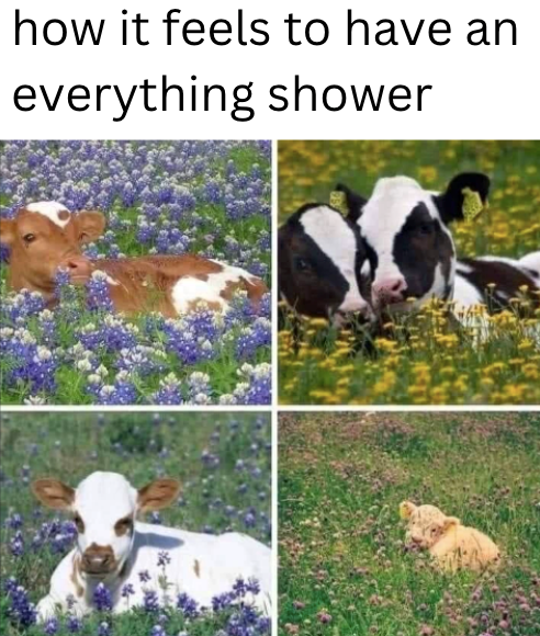 how it feels to have an everything shower