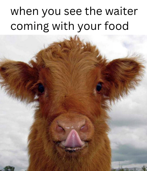 when you see the waiter coming with your food