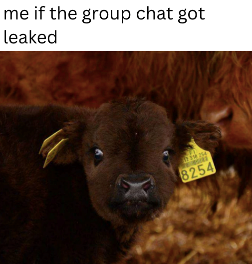 me if the group chat got leaked FI 12 318 254 8254