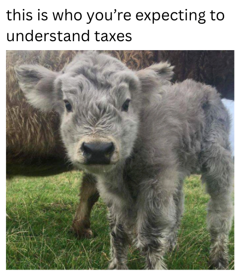 this is who you're expecting to understand taxes