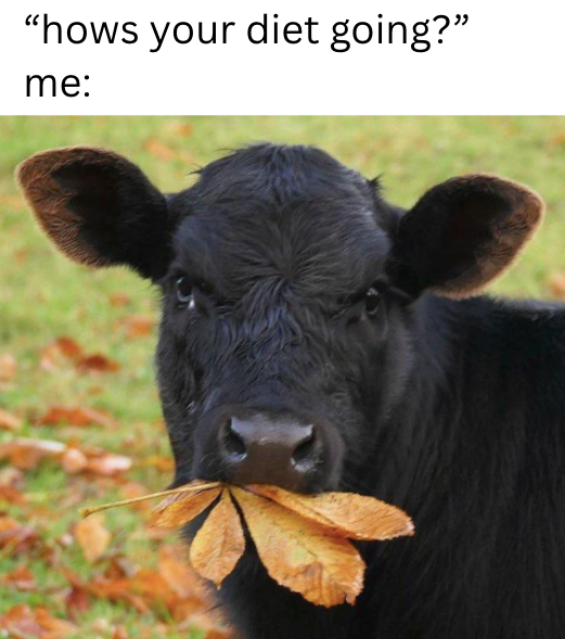 "hows your diet going?" me: