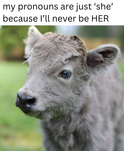 my pronouns are just 'she' because I'll never be HER