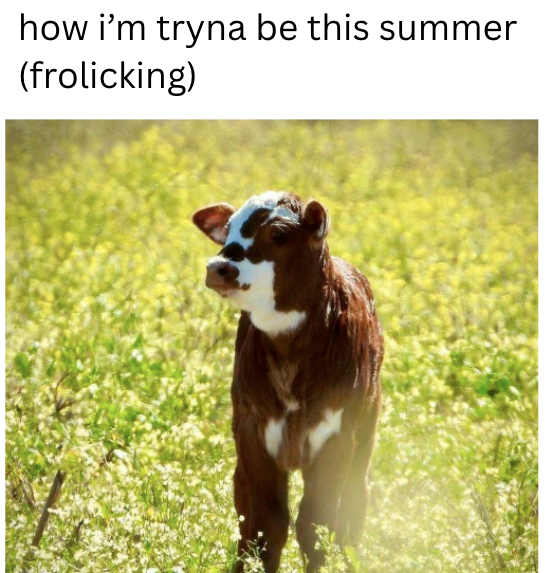 how i'm tryna be this summer (frolicking)