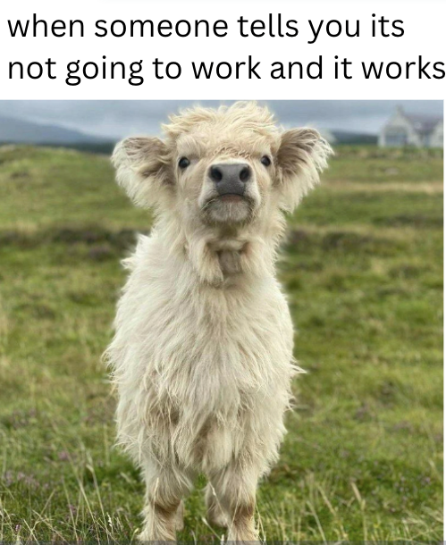 when someone tells you its not going to work and it works