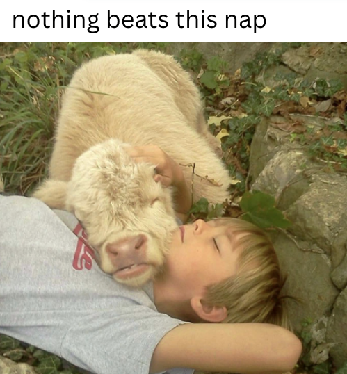 nothing beats this nap