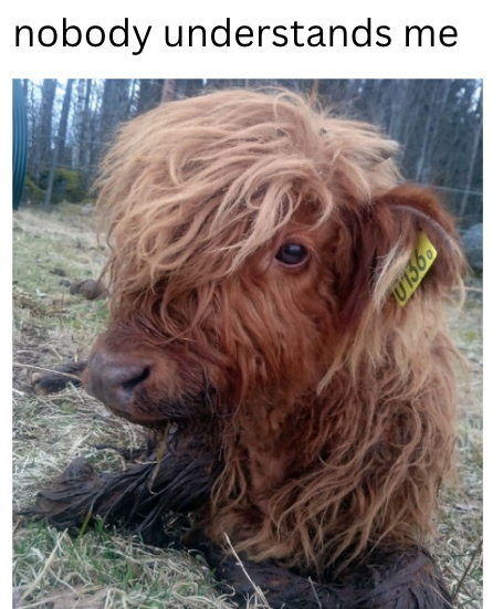 nobody understands me 0136