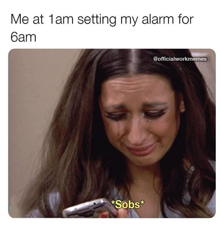 Me at 1am setting my alarm for 6am *Sobs* @officialworkmemes