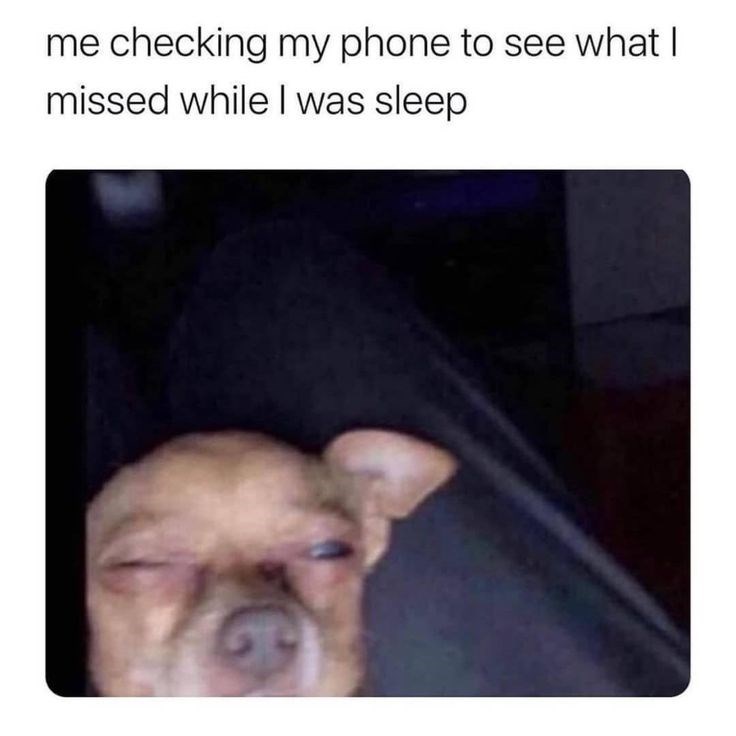 me checking my phone to see what I missed while I was sleep