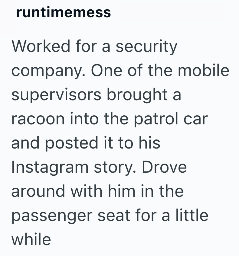 runtimemess Worked for a security company. One of the mobile supervisors brought a racoon into the patrol car and posted it to his Instagram story. Drove around with him in the passenger seat for a little while