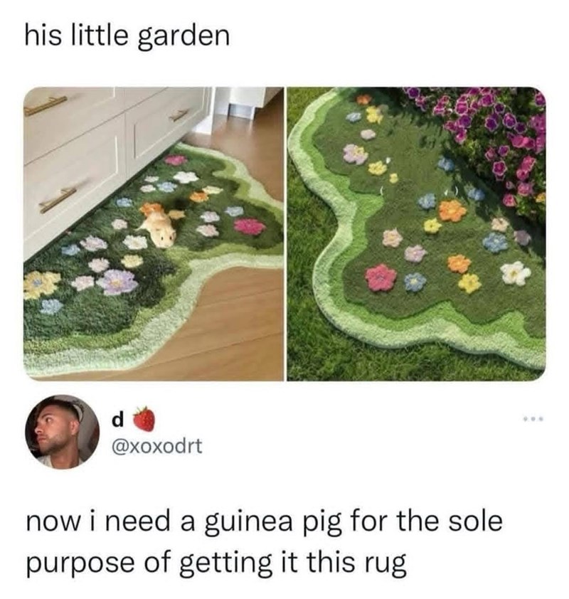 his little garden d @xoxodrt now i need a guinea pig for the sole purpose of getting it this rug